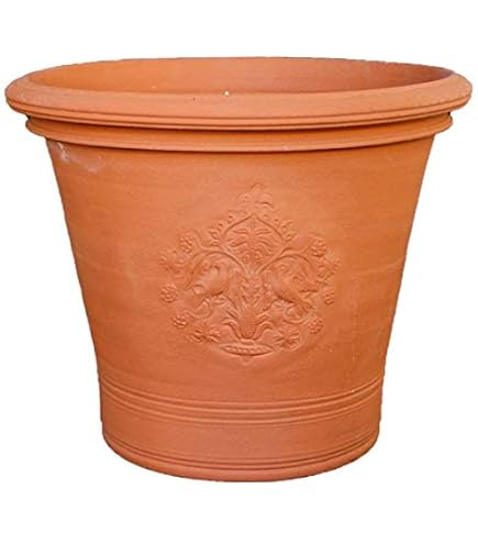 Amazon | ウィッチフォード テラコッタ植木鉢 バスケットプランター